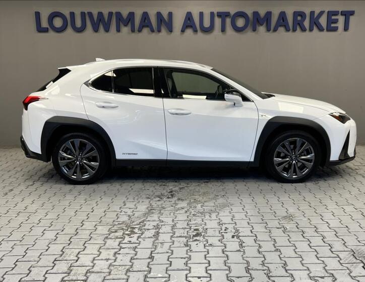 Lexus UX 250h 14