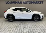 Lexus UX 250h 14