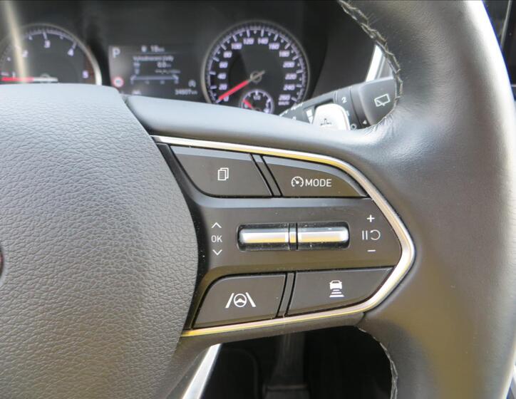 Hyundai Santa Fe 19