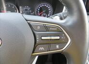 Hyundai Santa Fe 19