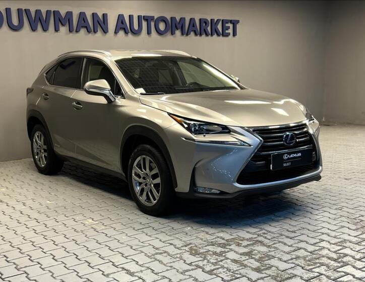 Lexus NX 300h 11