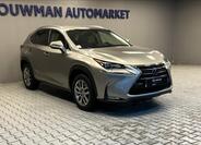 Lexus NX 300h 11