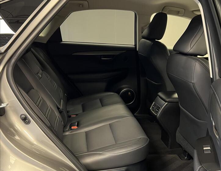 Lexus NX 300h 10