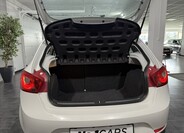 Seat Ibiza 21