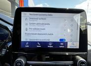 Ford Puma 31
