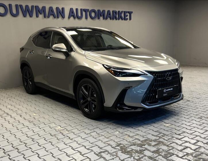Lexus NX 350h 11