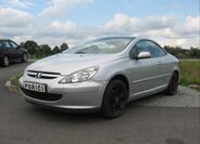 Peugeot 307 13
