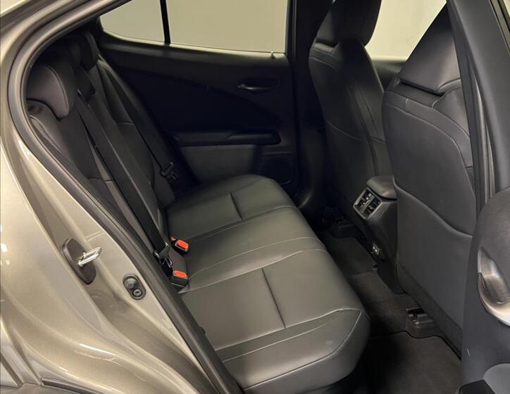 Lexus UX 300h 9