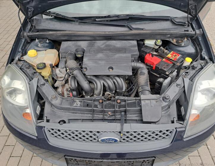 Ford Fiesta 34