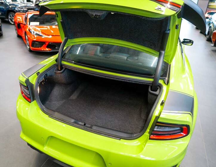 Dodge Charger 7