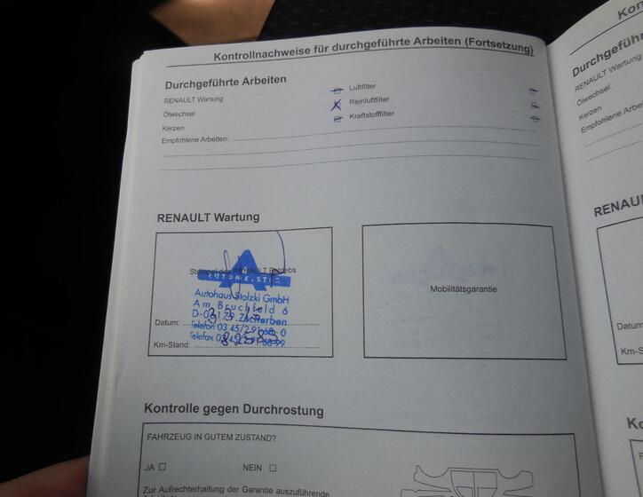 Renault Clio 19