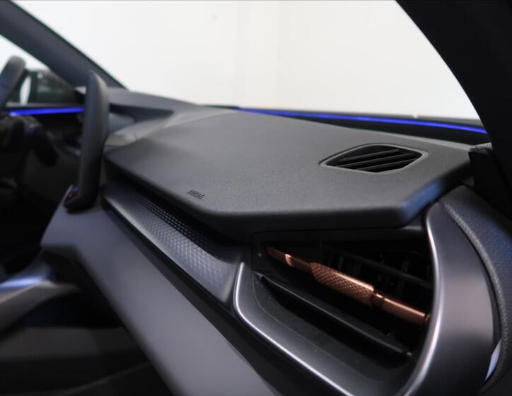 Cupra Terramar 21