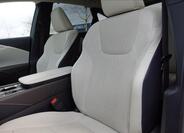 Lexus RX 450h plus 37