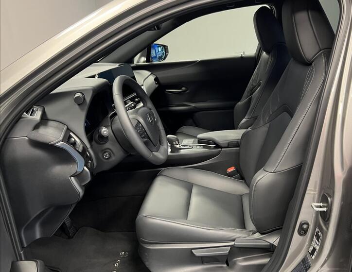 Lexus UX 300h 6