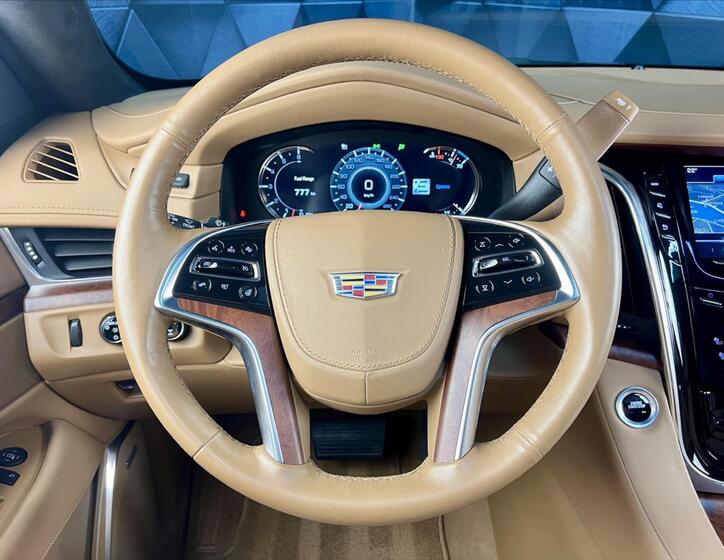 Cadillac Escalade 14