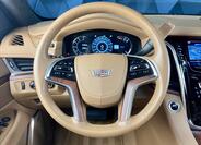 Cadillac Escalade 14