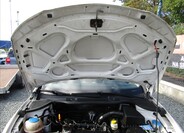 Seat Ibiza 36