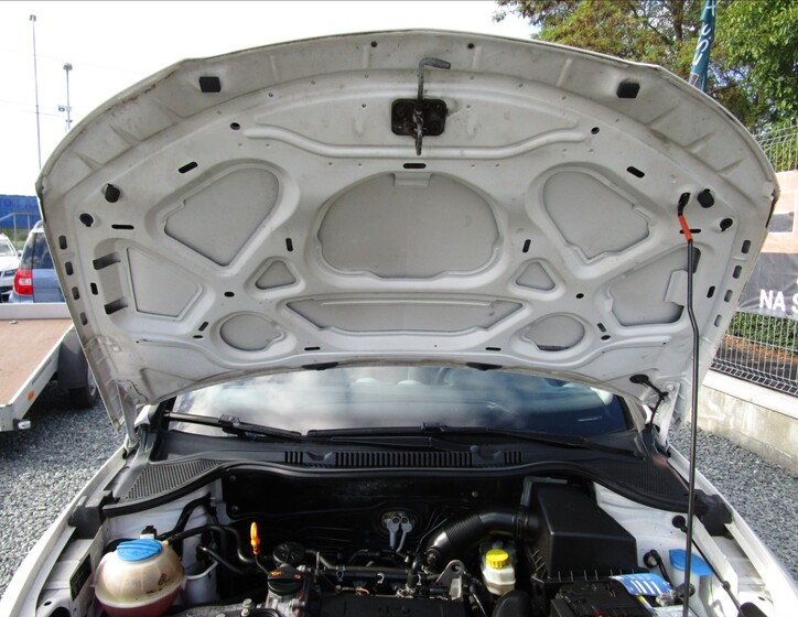 Seat Ibiza 36
