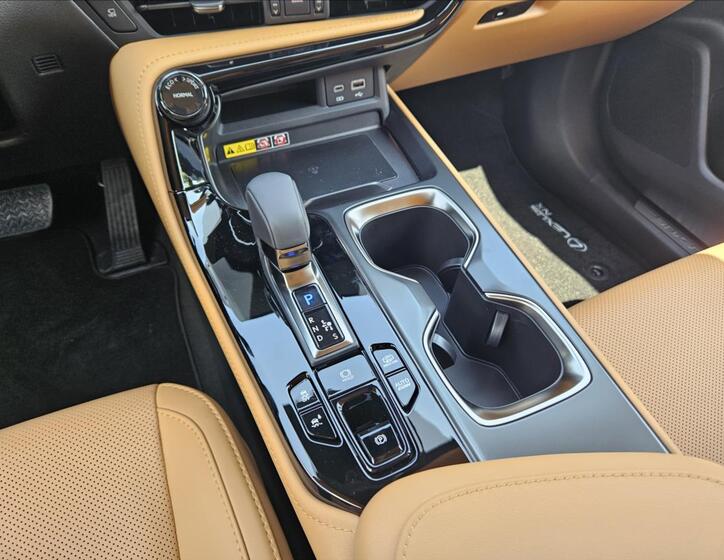 Lexus NX 450h plus 19