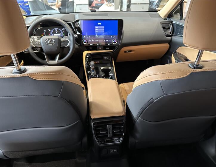 Lexus NX 450h plus 17