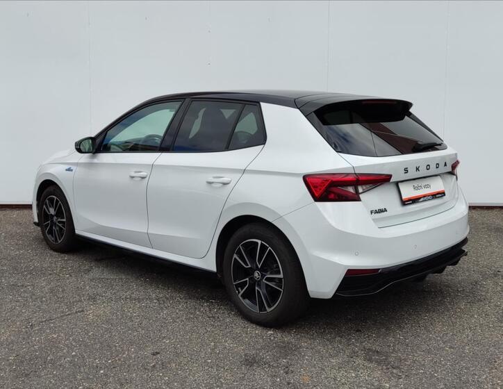 Škoda Fabia 29