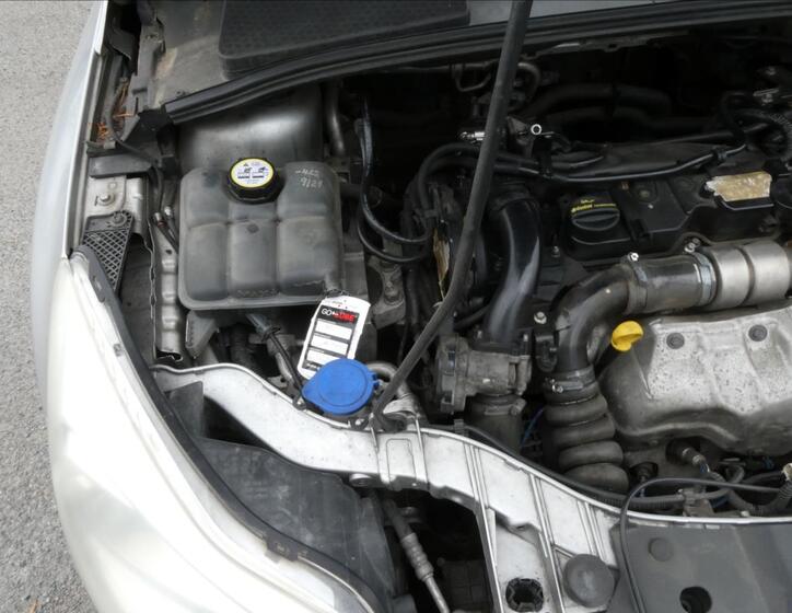 Ford Focus 32