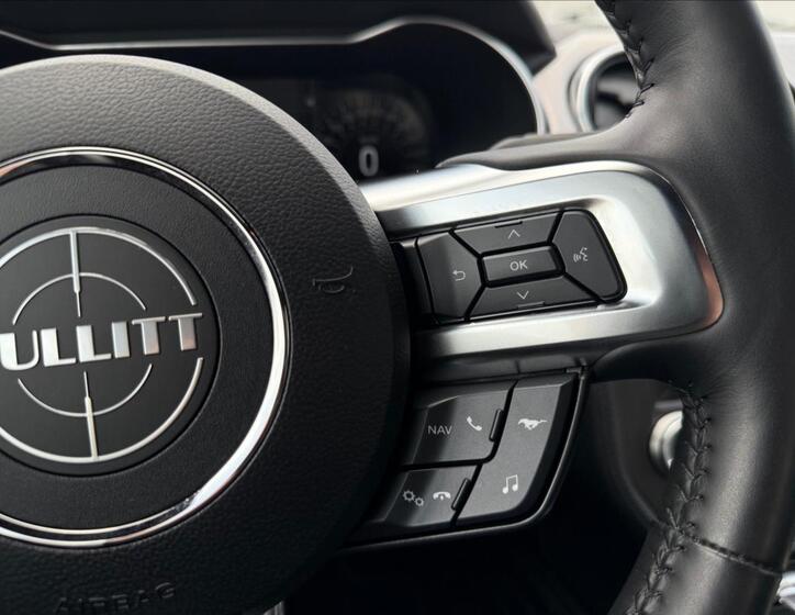 Ford Mustang 21