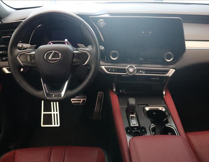 Lexus RX 500h 17
