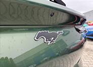 Ford Mustang Mach-E 19