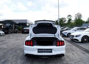 Ford Mustang 24