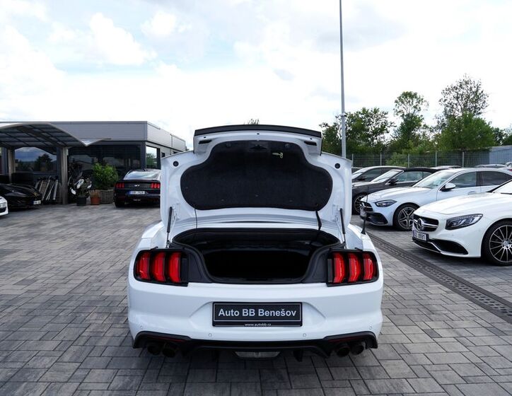 Ford Mustang 24