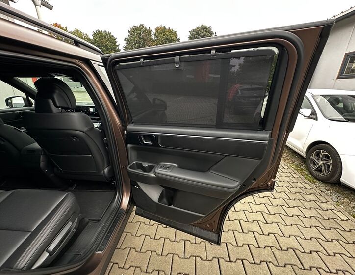 Hyundai Santa Fe 19