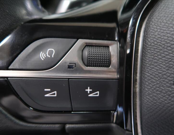 Peugeot 2008 17