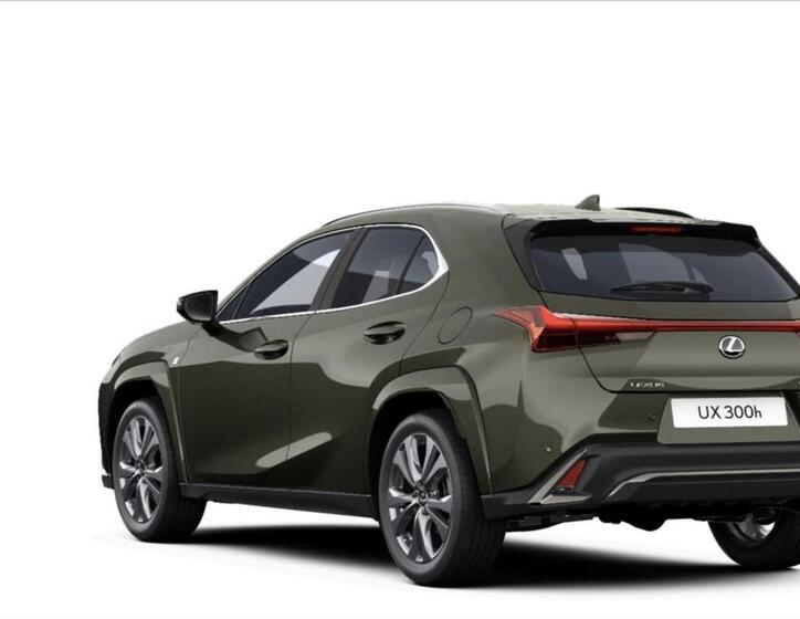 Lexus UX 300h 3