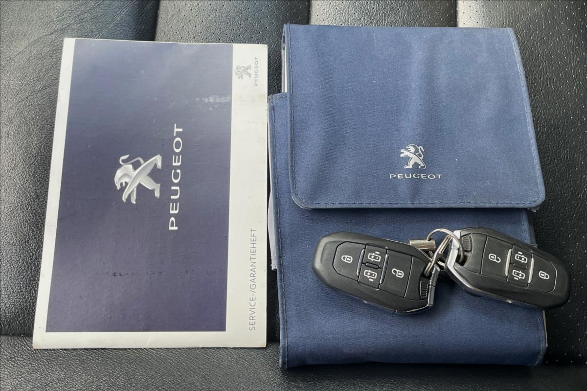 Peugeot Traveller