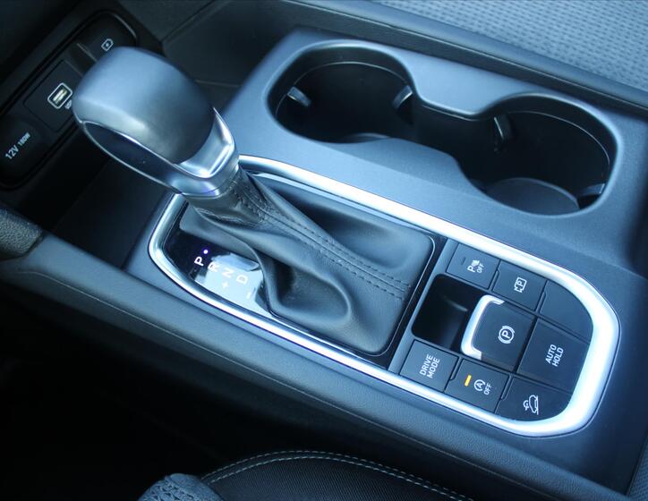 Hyundai Santa Fe 16