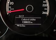 Volkswagen Beetle 16