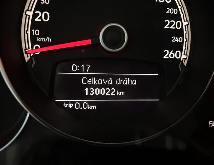 Volkswagen Beetle 16