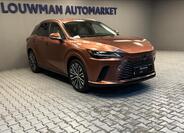 Lexus RX 450h plus 11