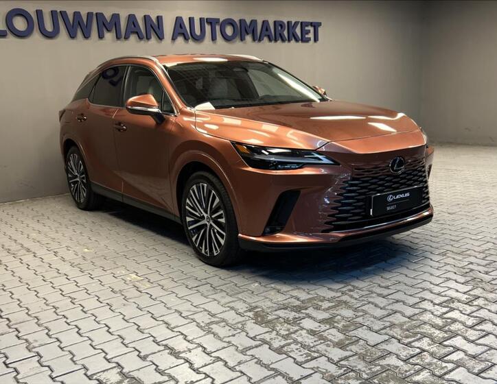 Lexus RX 450h plus 11