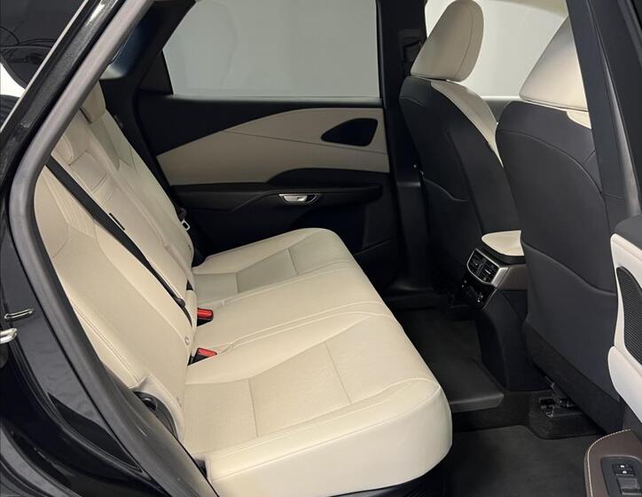 Lexus RX 450h plus 10