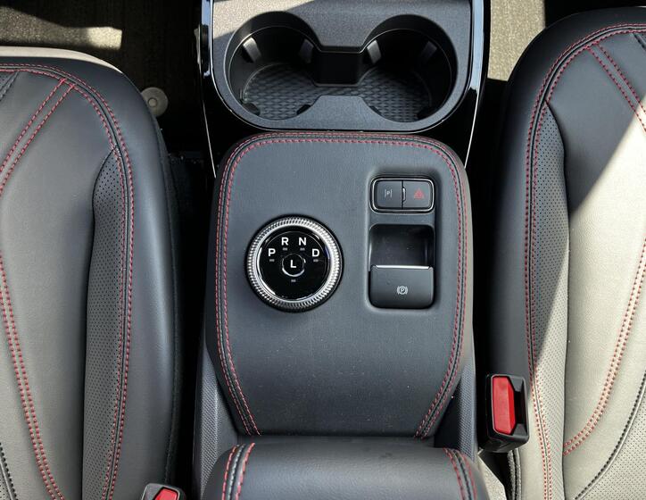 Ford Mustang Mach-E 15