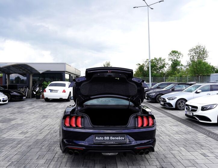 Ford Mustang 13