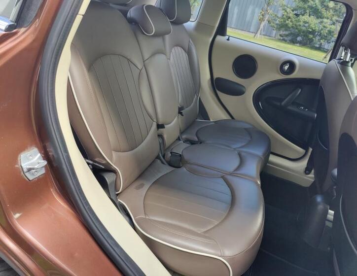 Mini Countryman 21