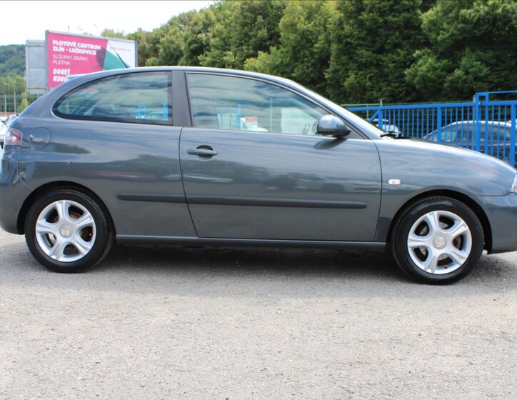 Seat Ibiza 4