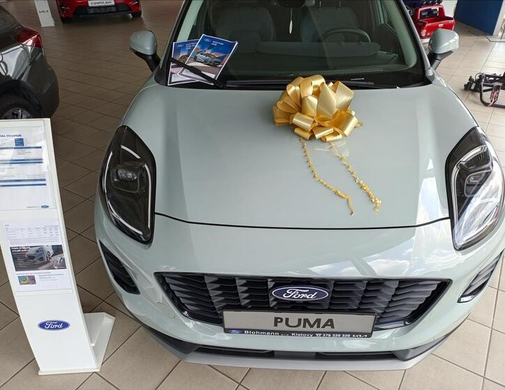 Ford Puma 15