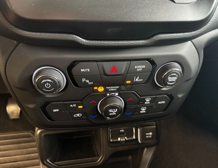 Jeep Renegade 24