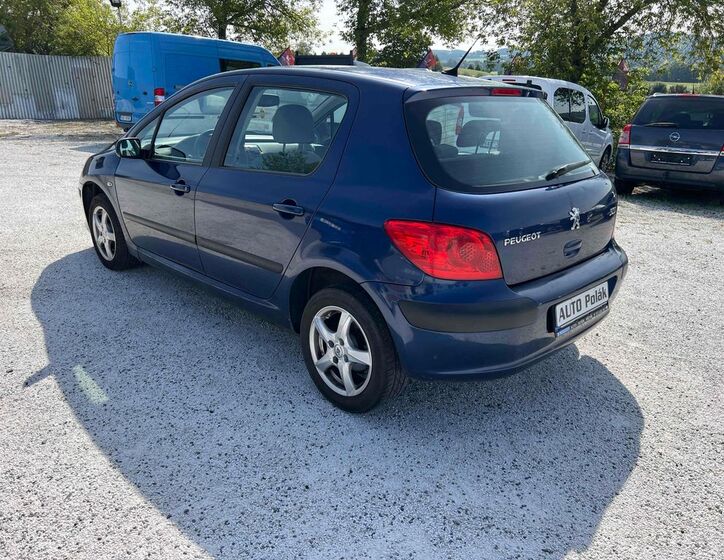 Peugeot 307 12