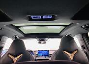 Cupra Terramar 22