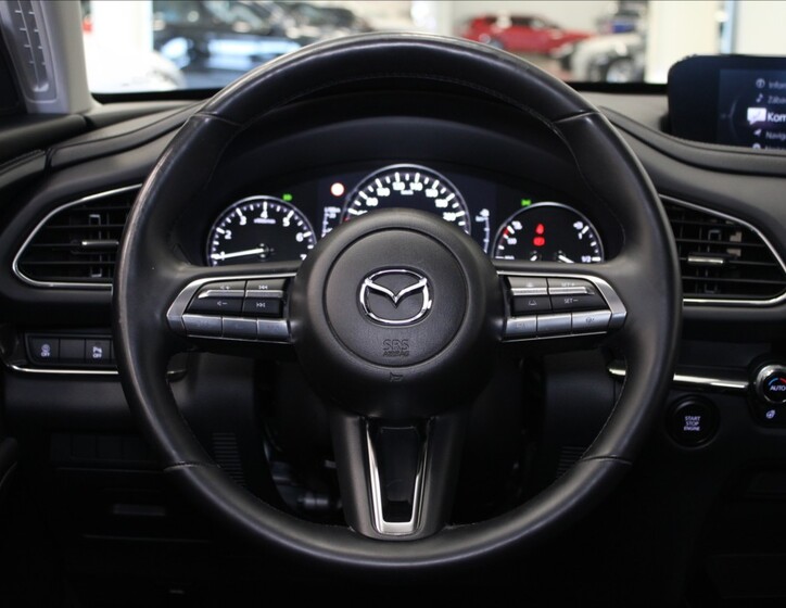 Mazda CX-30 9